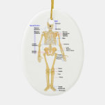 Lehrer für Wissenschafts-Weihnachtsverzierung Weihnachtsbaum Ornament