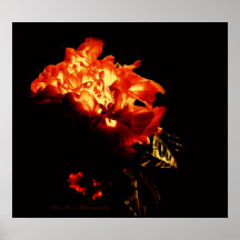 Leidenschaftliche Blumenblätter Posterdrucke