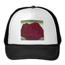 Leidenschaftliche Rote Rose Kultcaps
