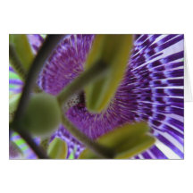 Leidenschafts-Blume 009 Karte