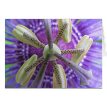 Leidenschafts-Blume 010 Grußkarte
