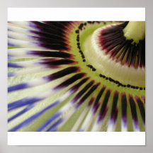 Leidenschafts-Blume Poster