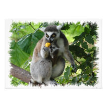Lemur-Einladung