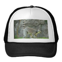 Lemur Retrokultkappe