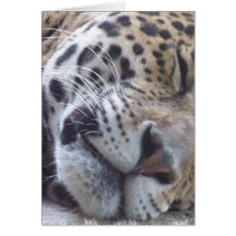 Leopard-Bild-Gruß-Karte