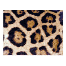 Leopard-Druck-große Katzen-wirklicher Pelz-Muster- Postkarte