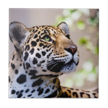 Leopard-Fotografie Keramikfliesen