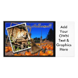 leopard-halloween-2010-0010 individuelle photo karte