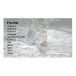 Leopard-junges Junges Visitenkarte