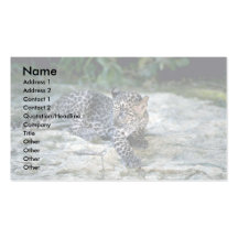 Leopard-junges Junges Visitenkarte