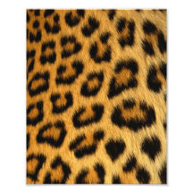 Leopard-Pelz-Druck Kunst Foto