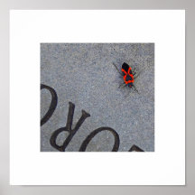 Lesen Sie das Rot Posterdrucke