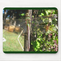 Libelle Mousepad