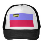Lichtenstein-Qualitäts-Flagge Kult Cap