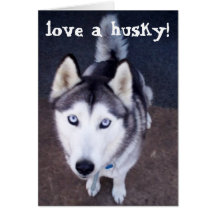 Liebe ein Schlittenhund! Karten