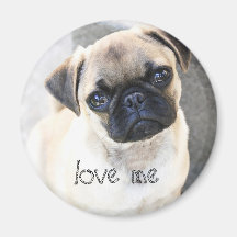Liebe ich - niedliche Mops Magnete