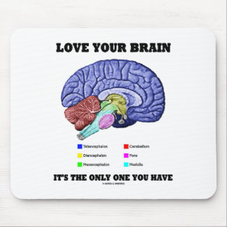 liebe_ihr_gehirn_ist_es_das_einzige_das_sie_haben_mousepad-r571979e500d849d198edb43c80df713f_x74vi_8byvr_324.jpg