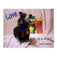 Liebe ist die nasse Nase eines Hundes Postkarte