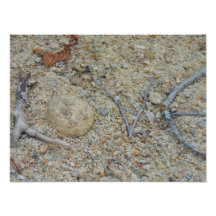 Liebe Kunst Photo