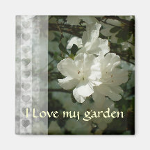 Liebe meine Garten Azalee Magnets