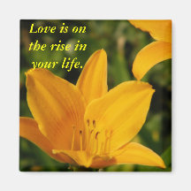 Liebe Rises_Magnet Magnets