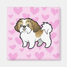 Liebe Shih Tzu (Welpe geschnitten) Magnete
