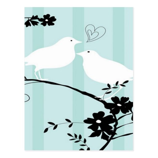 Liebe-Vögel Postkarten