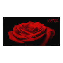 Liebeblumenblätter - Rote Rose Fotokarte