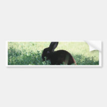 Lil schwarzes Häschen Auto Sticker