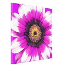 Lila Blume Gespannte Galeriedrucke