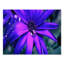 Lila Blume Kunstfoto