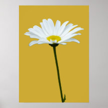 Lila Blumen-Druck-klassischer Gänseblümchen-Plakat