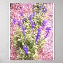 Lila Blumen-Garten-Plakat
