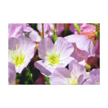 Lila Blumen Galerie Falt Leinwand