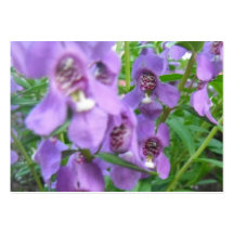 Lila Blumen Visitenkartenvorlagen