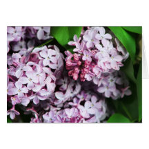 lila Blumenstrauß Grußkarte