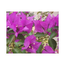 lila blüten leinwanddruck