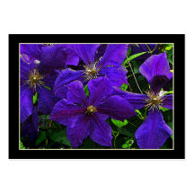 Lila Clematis ATC Visitenkartenvorlage