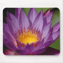 Lila Explosion Mousepads