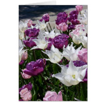 Lila Garten Karte