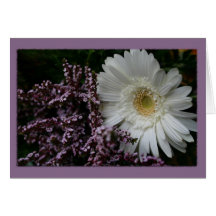 Lila Hintergrund der weißen Blume Karten