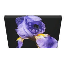 Lila Iris eingewickelte Leinwand Galerie Falt Leinwand