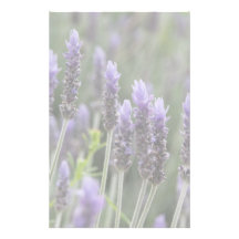 Lila Lavendel Individuelles Büropapier