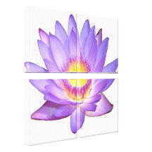 Lila Lotos-Blume ausgedehnter Leinwand-Druck Galerie Falt Leinwand