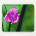 Lila Mauspads