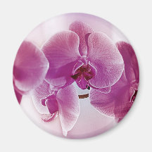 Lila Orchideen Kühlschrankmagnet