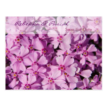 Lila Phlox • Save-the-Date-Postkarte