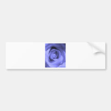 Lila Rose Autosticker