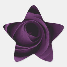 Lila Rose Sticker