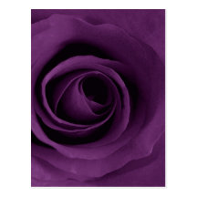 Lila Rose von künstlerischem Postkarten